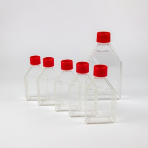 Cell Culture Flask